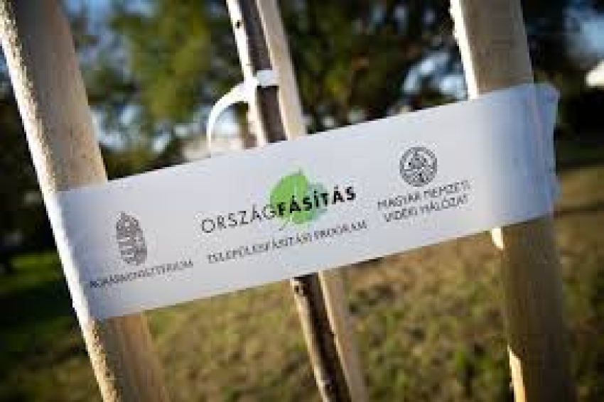 F&aacute;s&iacute;t&aacute;si program Csurg&oacute;n